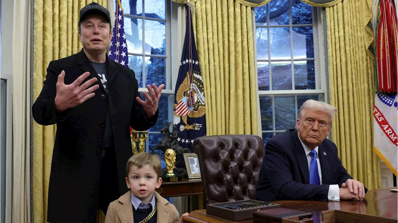 Grimes verzweifelt: Elon Musks Sohn X im Oval Office