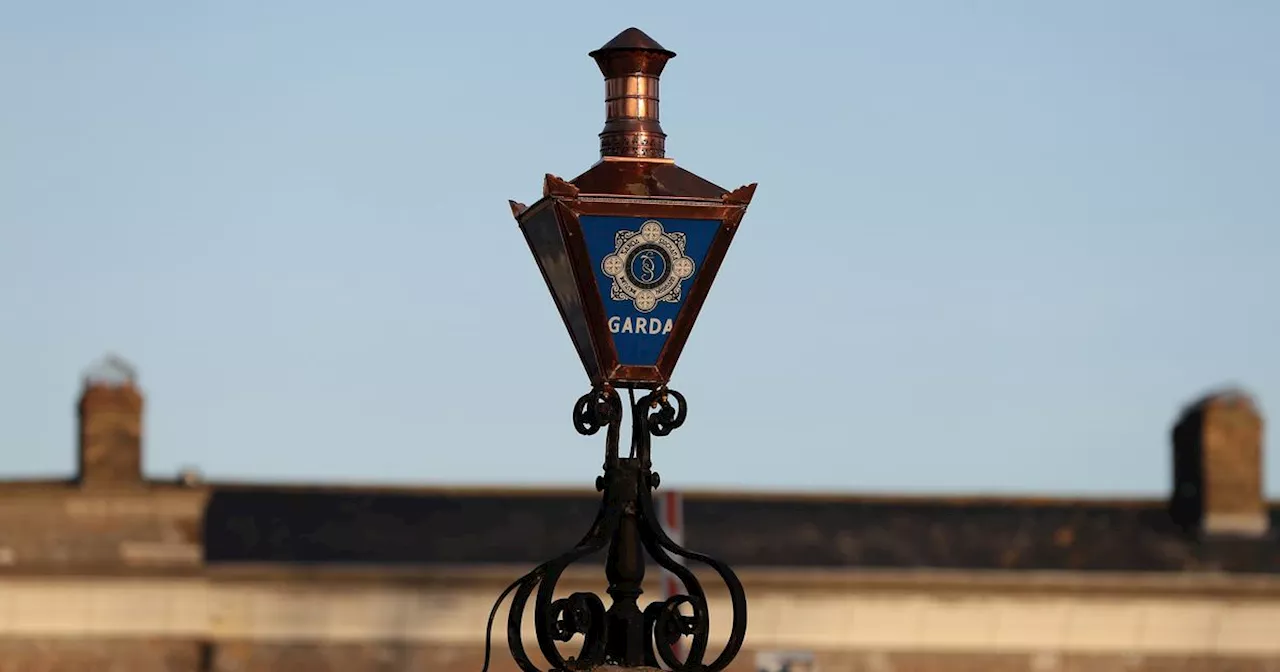 Trainee Garda Arrested for Theft During Crime Statement