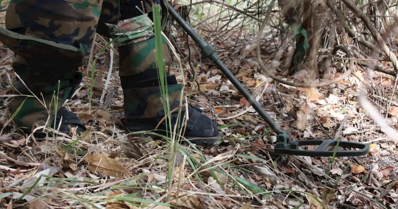 Gobernadora de Chocó denuncia crisis humanitaria por combates de grupos armados ante la OEA