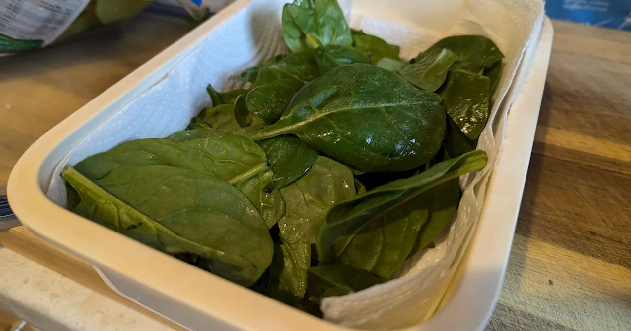 The Secret to Keeping Spinach Fresh for Longer