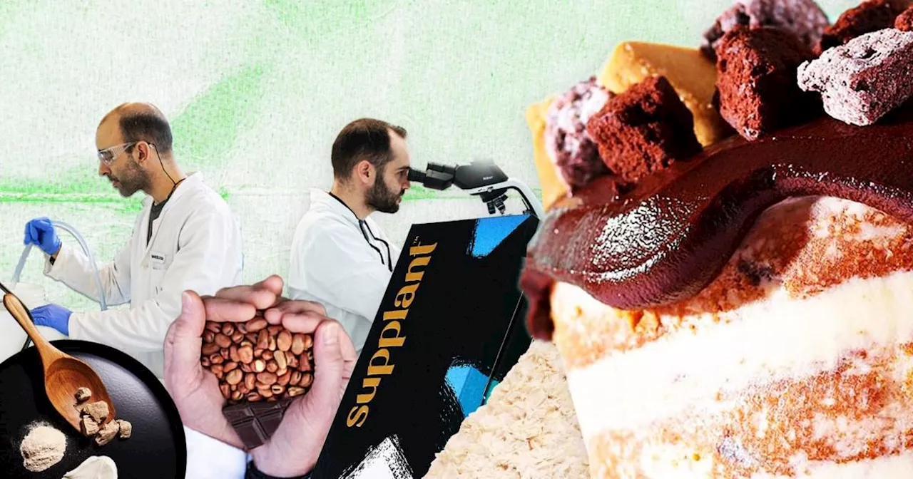 From bacteria to beanless chocolate: What will we be eating by 2050?