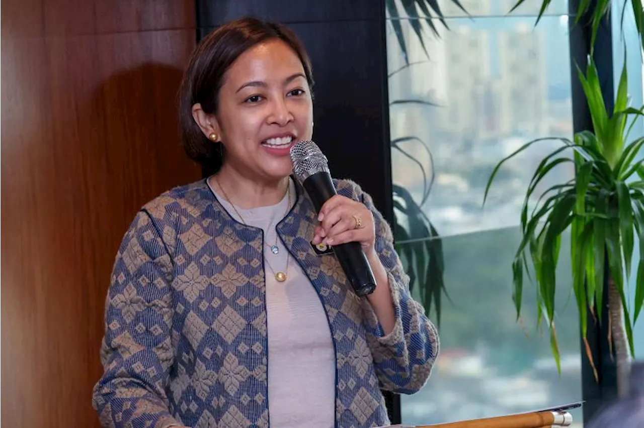 Binay: Renewable Energy Key to Solving Mindanao's Power Needs