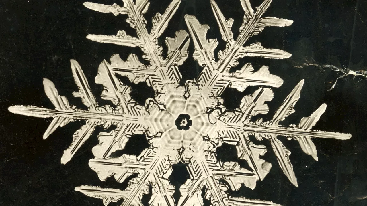 Wilson Bentley: The Snowflake Artist