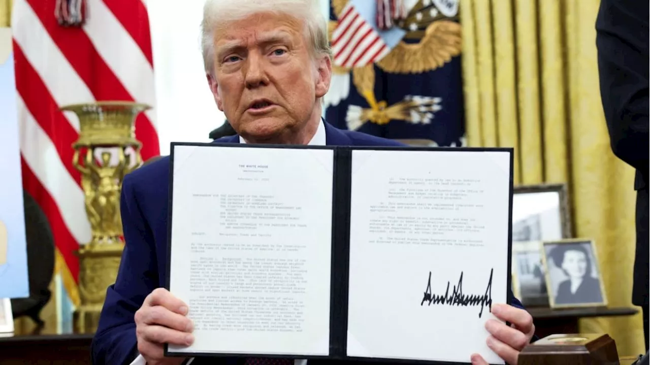 Trump unveils reciprocal blanket tariffs review of all major US trading partners