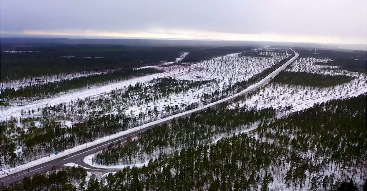 Finska skogar numera en utsläppskälla: ”Inte en chans att nå klimatmålen”