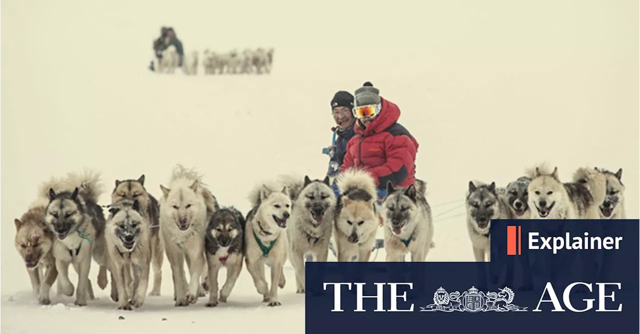 Greenland: From Trump's Ambitions to a Nation's Identity