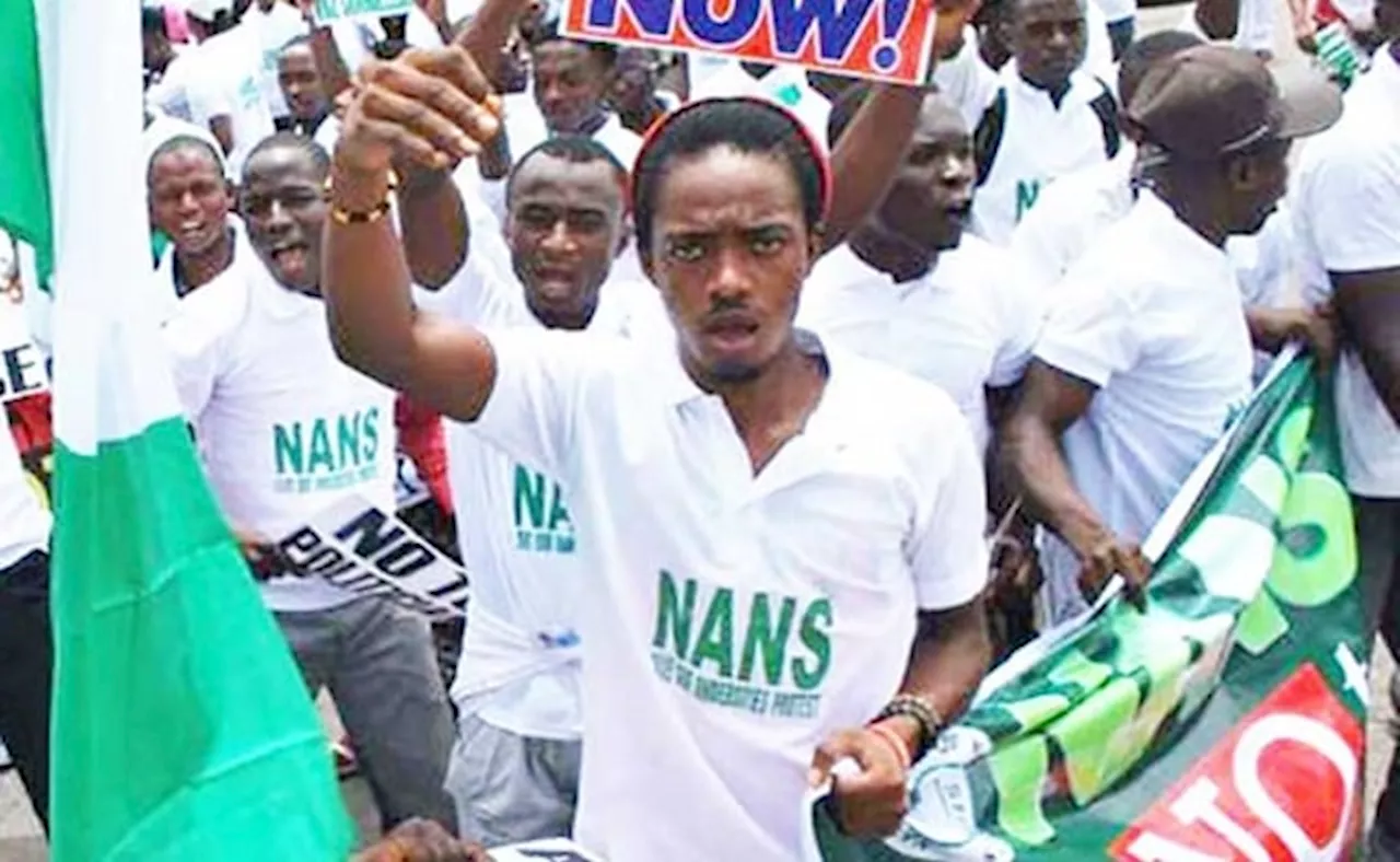 NANS threatens to disrupt NELFUND board meeting over exclusion of students' representatives