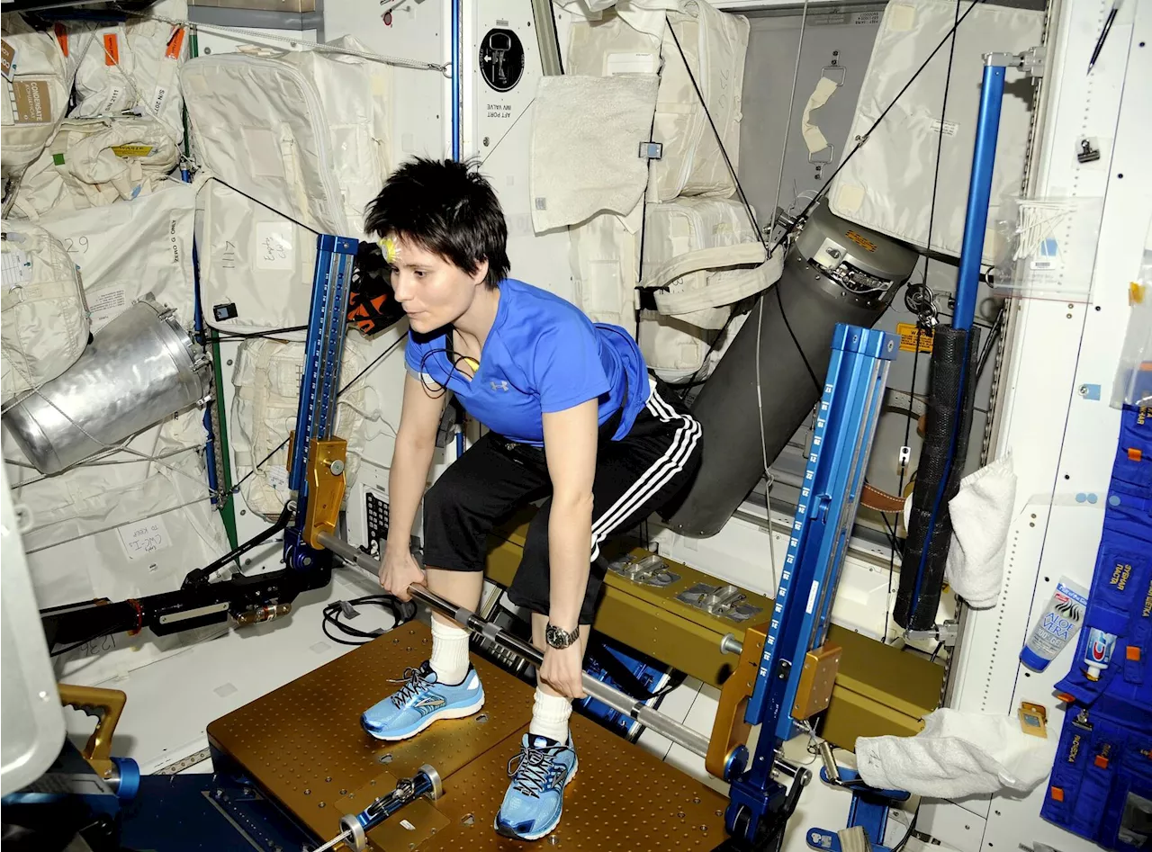 Jumping Exercises May Hold the Key to Protecting Astronaut's Cartilage in Space