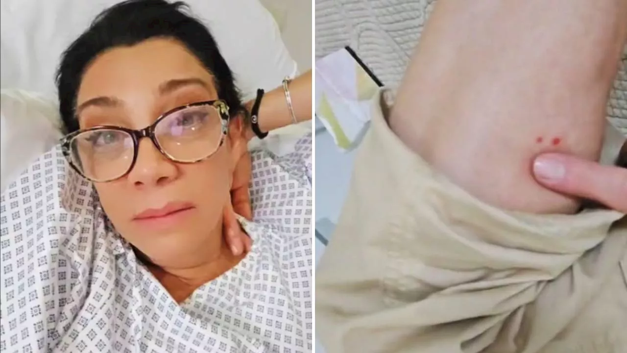 Cynthia Klitbo reaparece tras ser hospitalizada de emergencia por mordedura de peligrosa araña