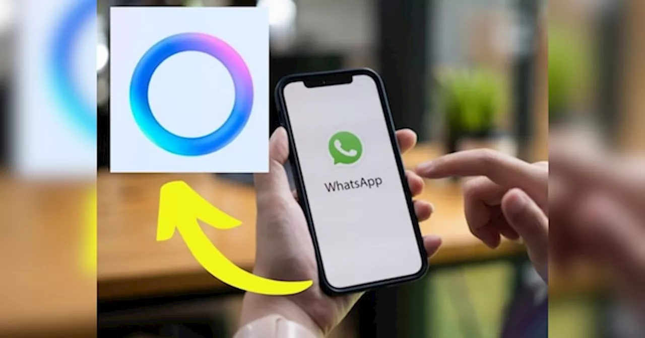 बड़े काम का है WhatsApp का ये नीला गोला, चुटकी में कर देता है इतने सारे काम, जानें फायदे