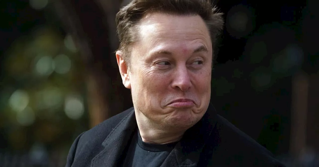 Influencerin behauptet, Elon Musk sei Vater ihres Kindes