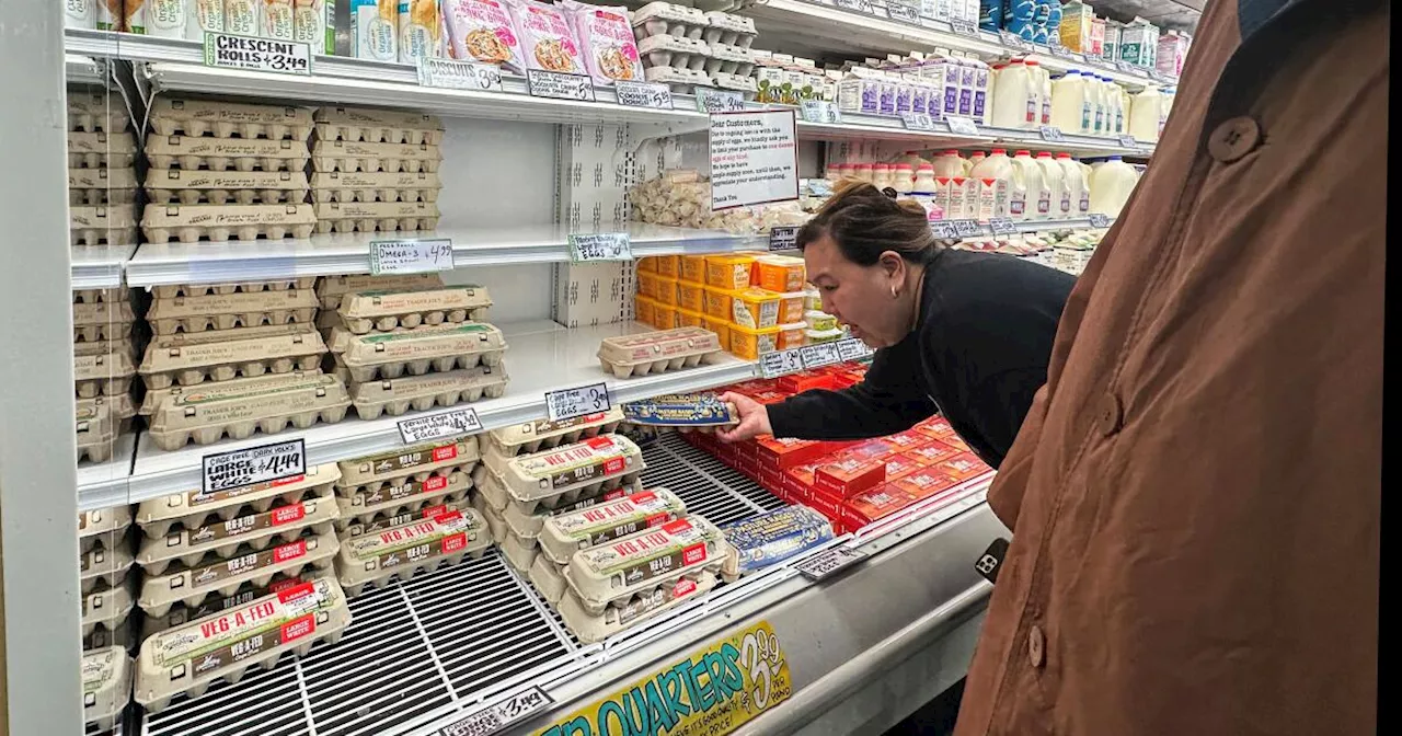 California Egg-Stravaganza: Why Are Eggs So Expensive and Hard to Find?