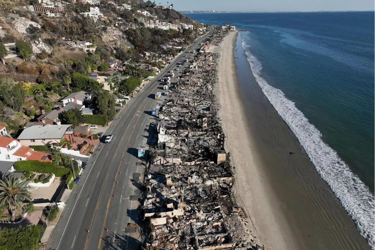 Toxic Ash From LA Wildfires Pollutes Ocean, Raising Health Concerns