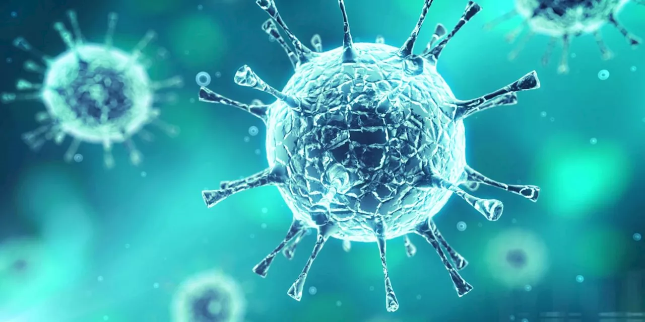Entdeckung des Camp-Hill-Virus in Alabama: Eine potenzielle Bedrohung für die Menschheit?