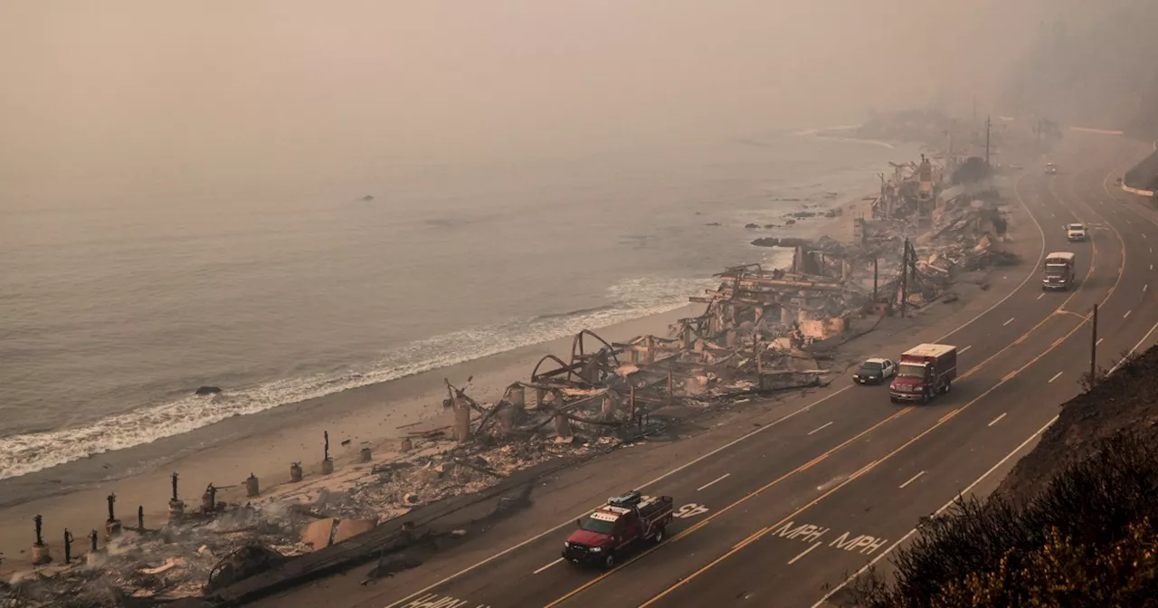 LA Wildfires: Toxic Ash Flows Into Pacific Ocean, Raising Concerns for Marine Life