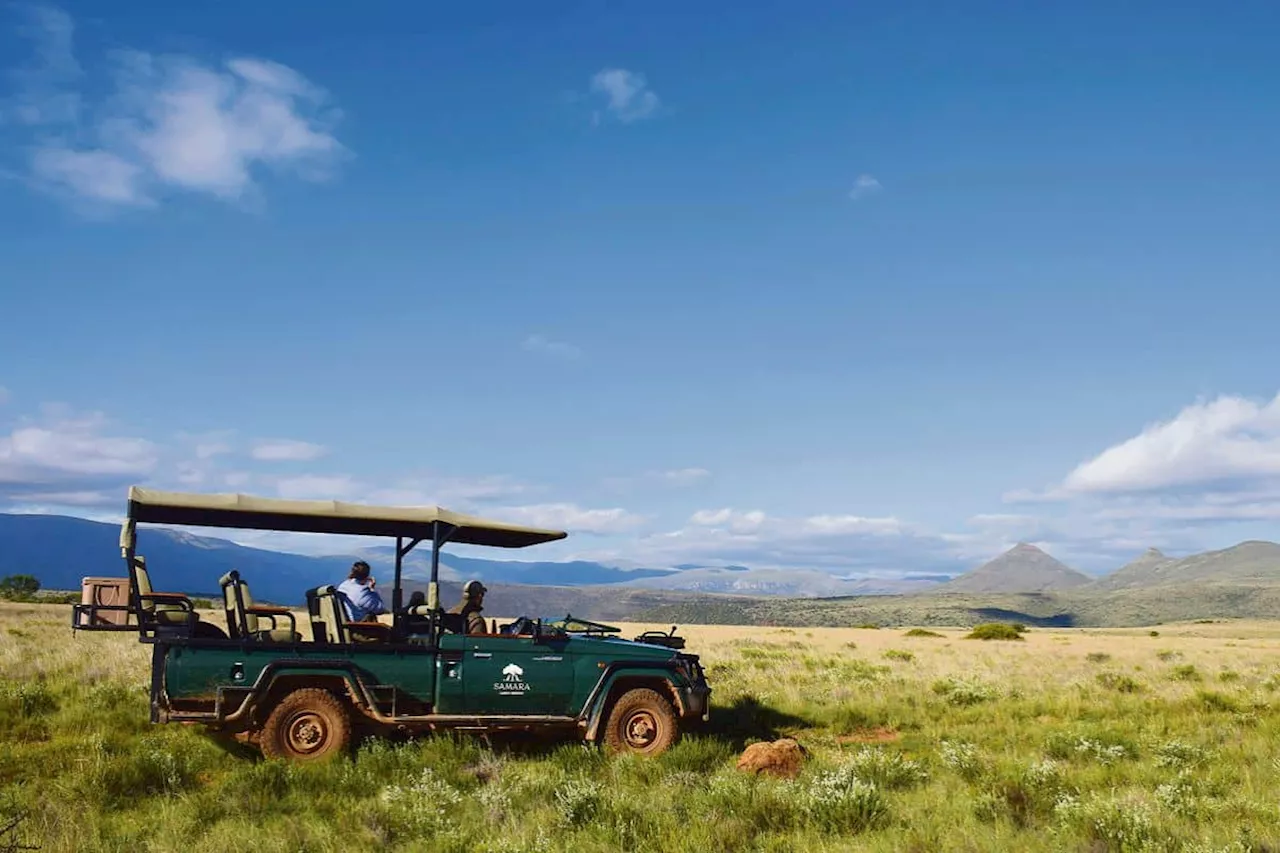 Cheetahs, Elephants, and Reversing Environmental Damage at Samara Game Reserve