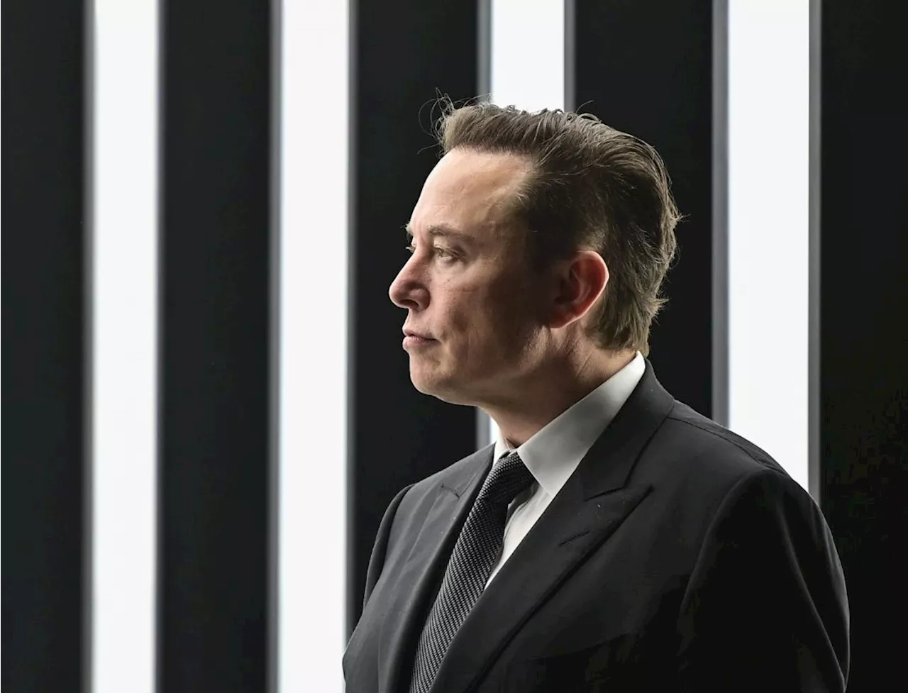 Elon Musk Reacts to 26-Year-Old Author's Claim of 13th Child