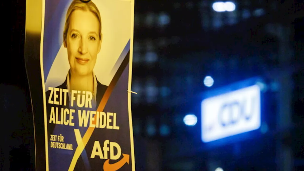 Ist die AfD alternativlos?