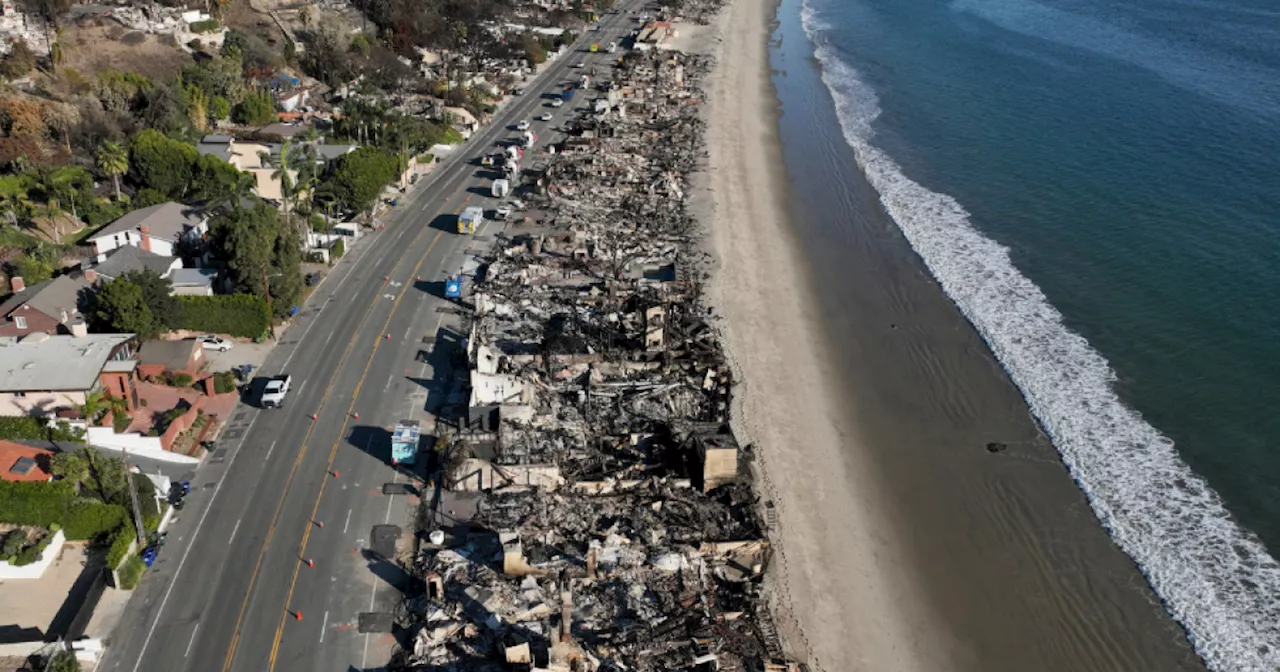 LA Wildfires Leave Toxic Ash Trail in Pacific Ocean