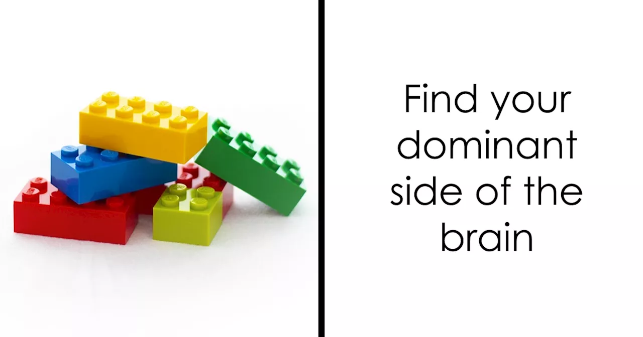 Brain Dominance Quiz: Right Brain or Left Brain?