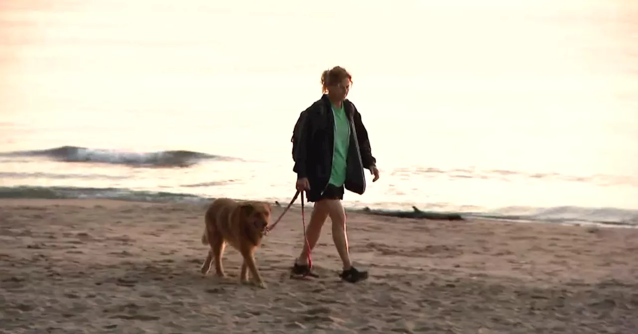 Evanston Dog Beach Reopens March 1st, Passes Available Now