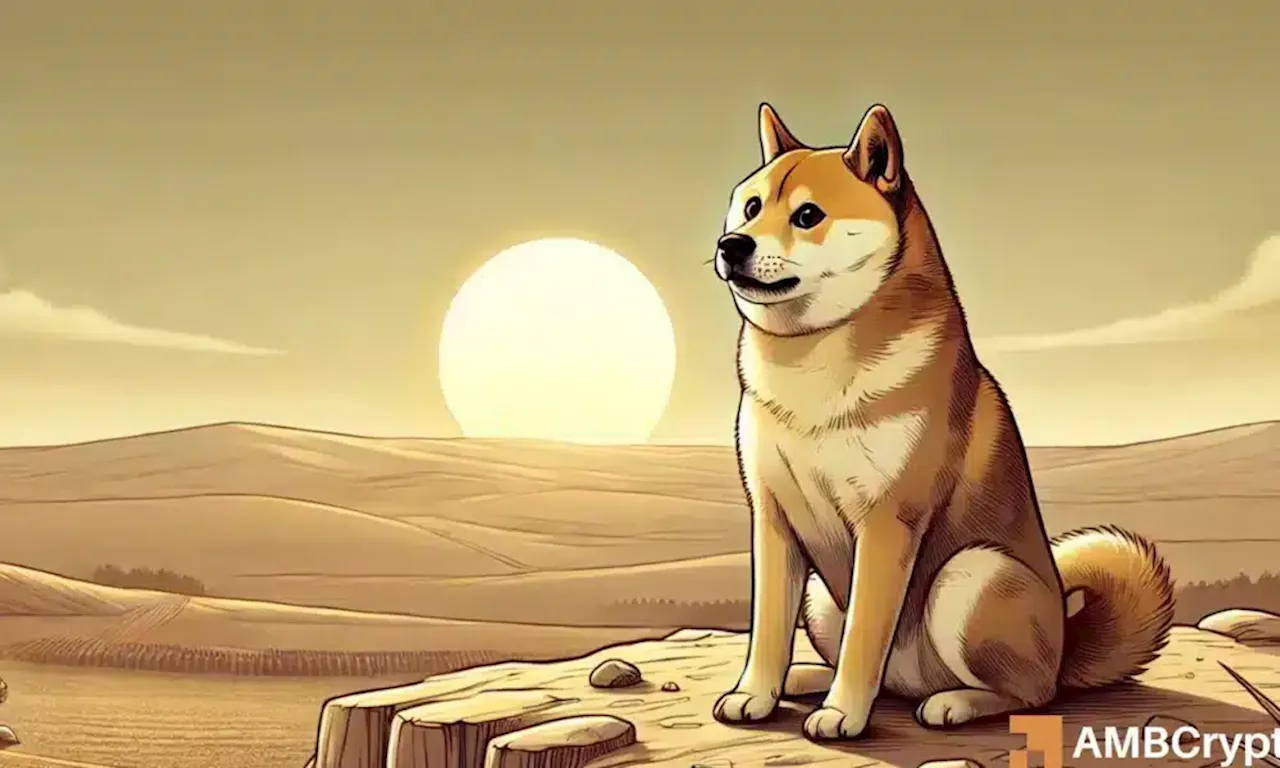 Dogecoin's Stagnant Whale Activity Raises Concerns of Another Pullback