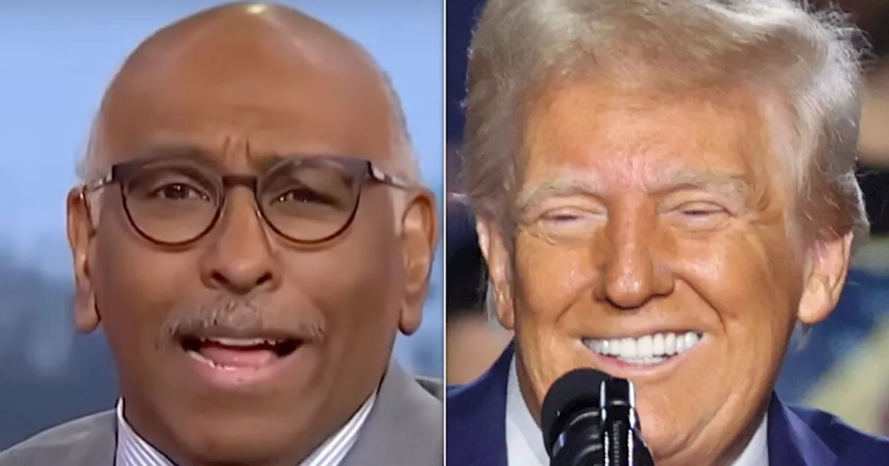 ‘They’re Not At The Gate Anymore’: Michael Steele Issues Most Chilling Trump Warning