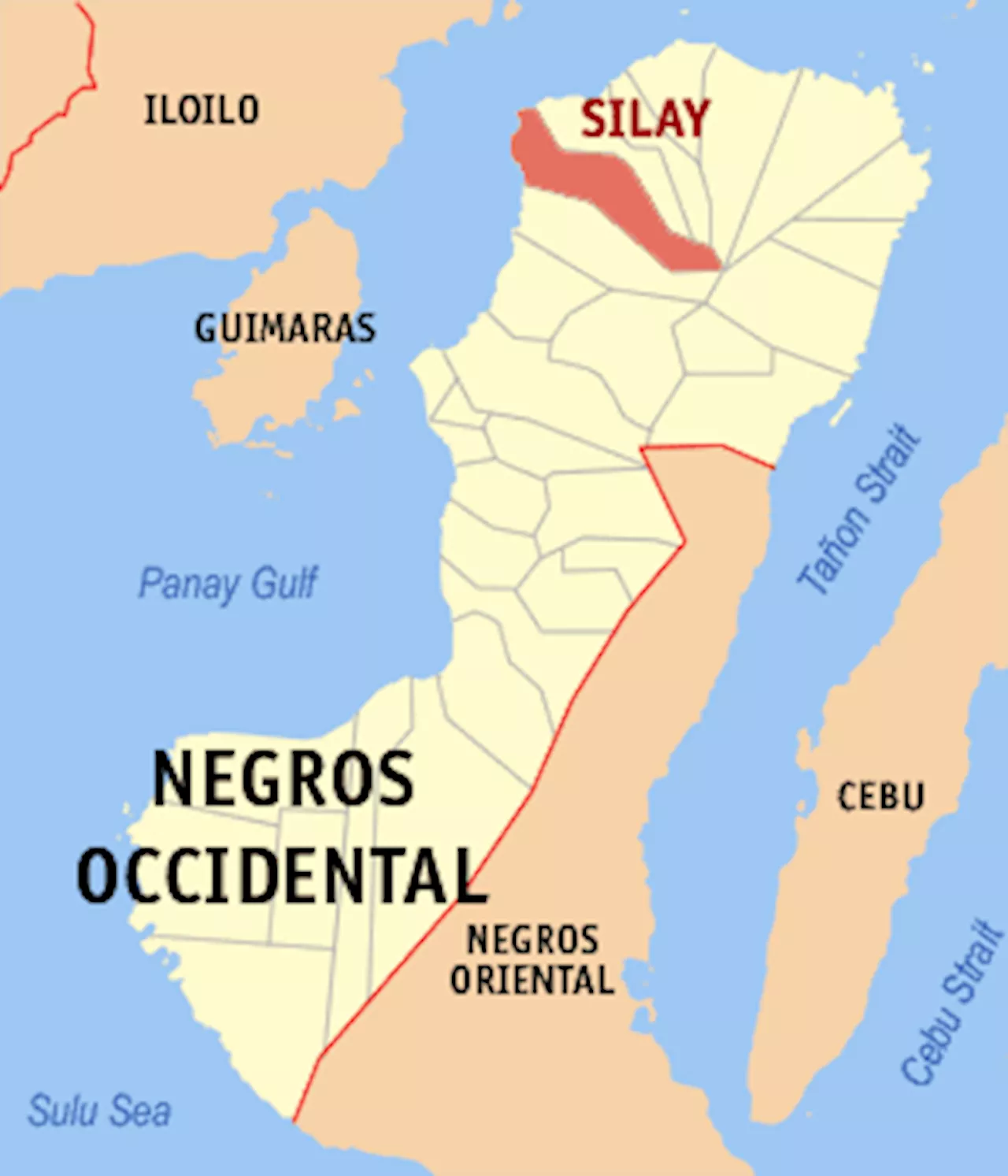 Three NPA Rebels Surrender in Negros Occidental, Receive Aid and Support