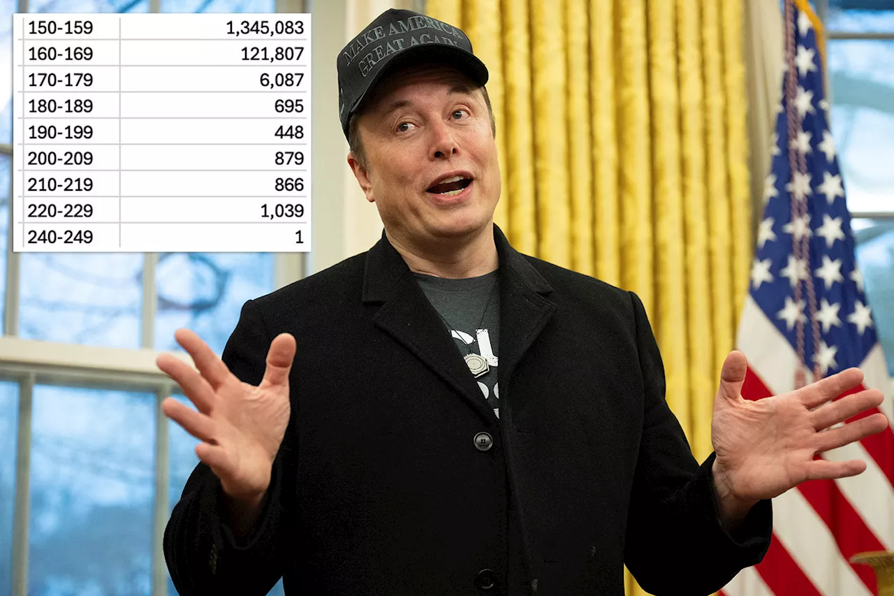 Musk Claims 'Biggest Fraud in History' After Finding Millions Listed as Over 100 in Social Security Database