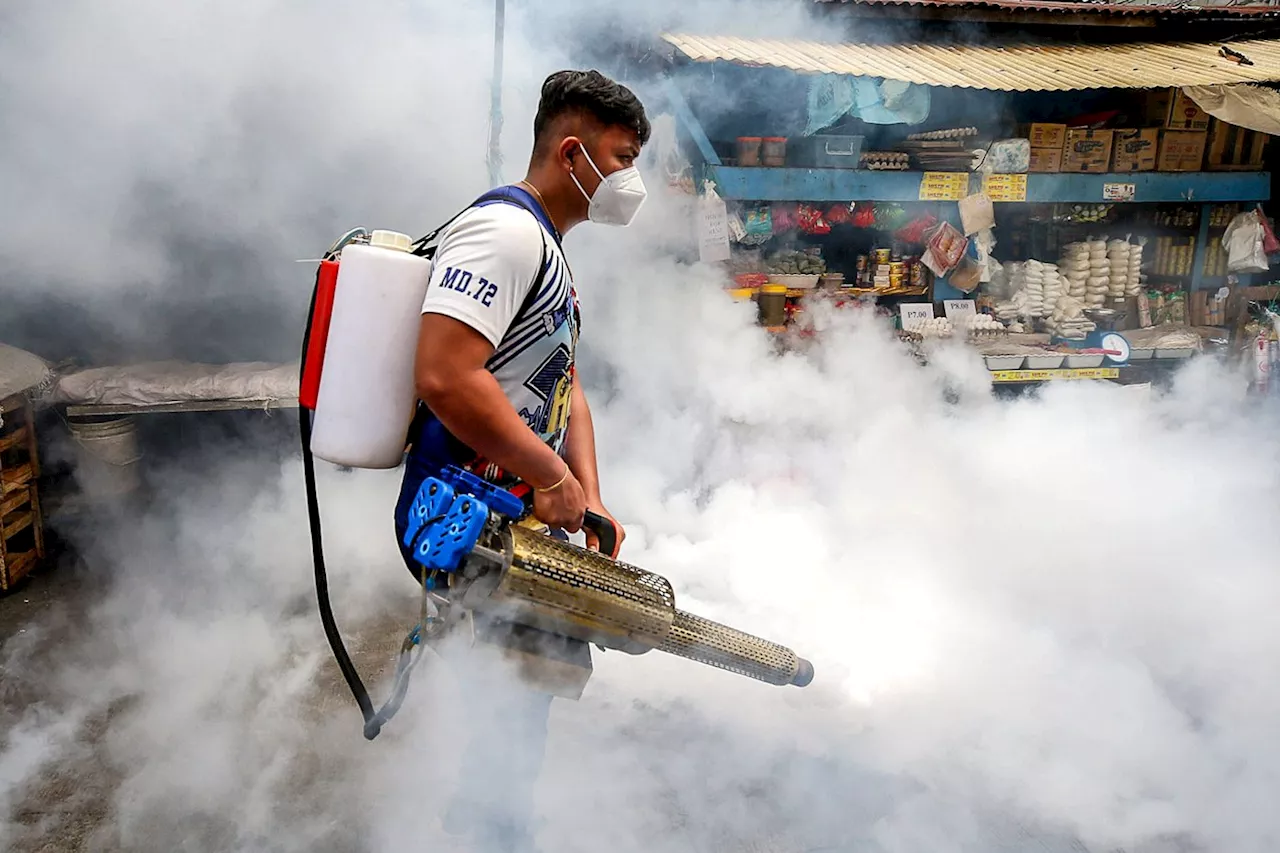 DOH Reports Surge in Dengue Cases, Urges Local Action
