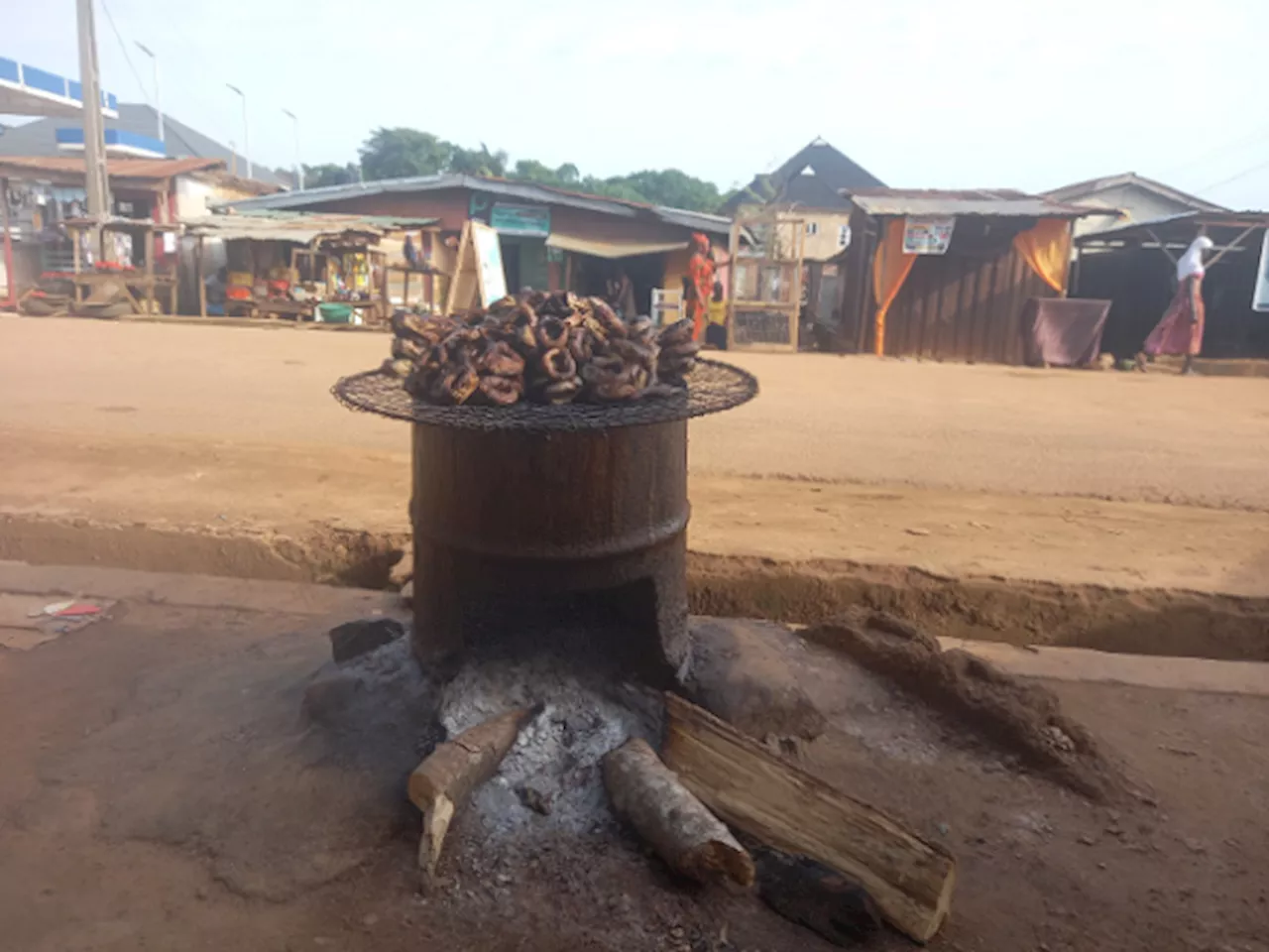 Climate Watch: Coalition asks FG to address energy inequality