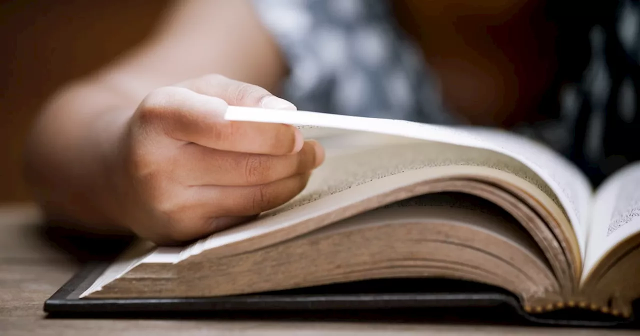 Books: If the marriage plot is an ailment, is the divorce plot the cure?