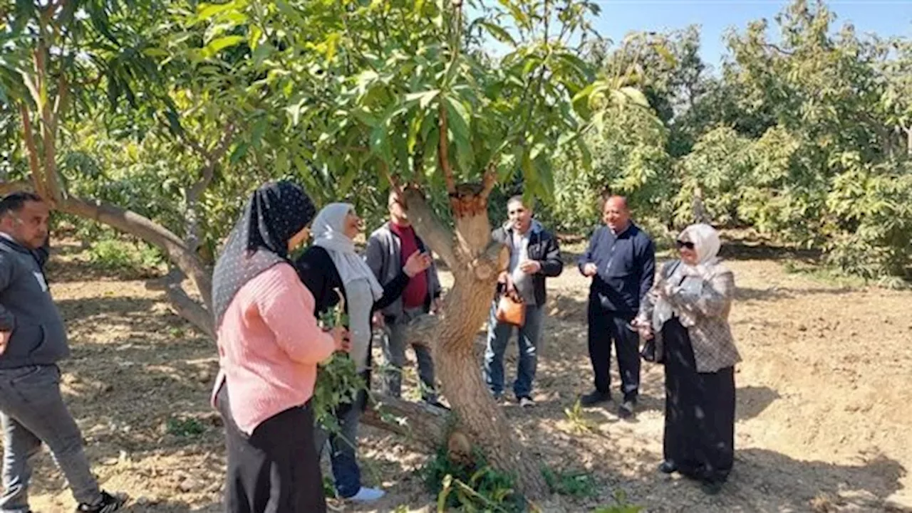 جامعة قناة السويس تطلق قافلة شاملة لتقديم الخدمات لأهالي قرية چنيفه