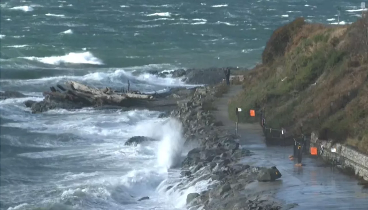 Strong Winds Expected to Hit Parts of Vancouver Island