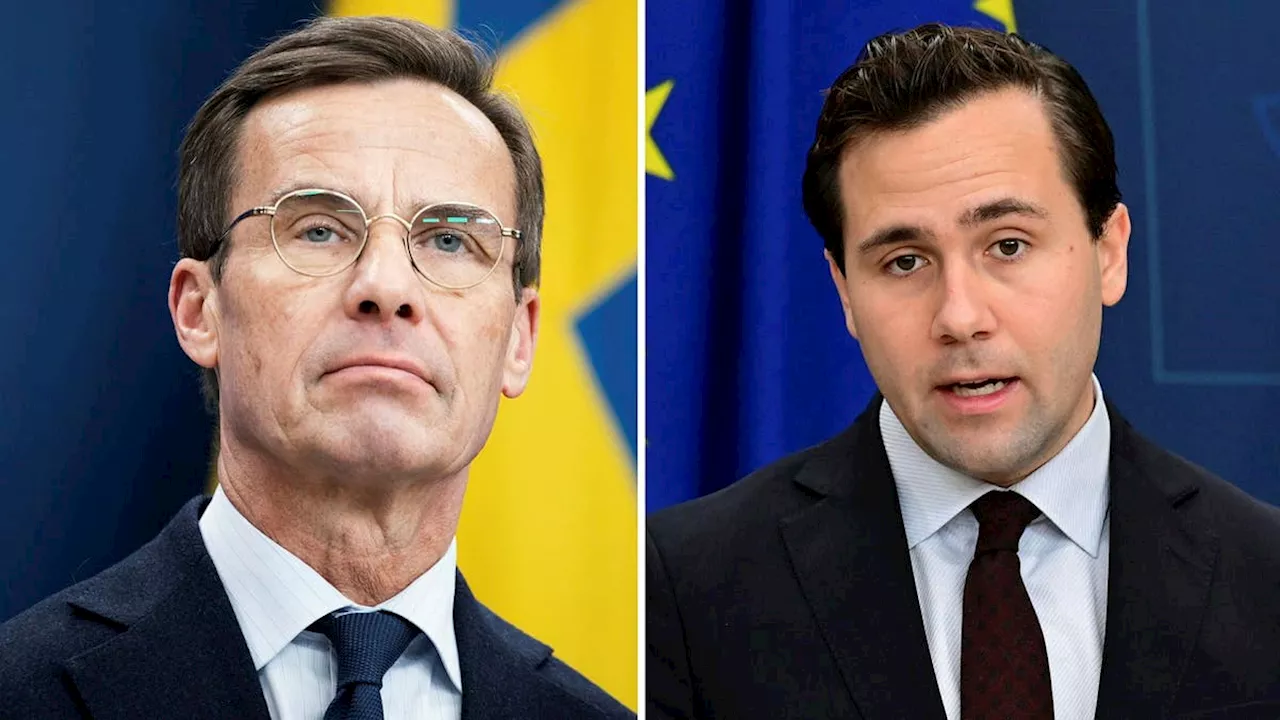 Sverige stabilt trots globala osäkerheter, satsar på frihandel och investeringar