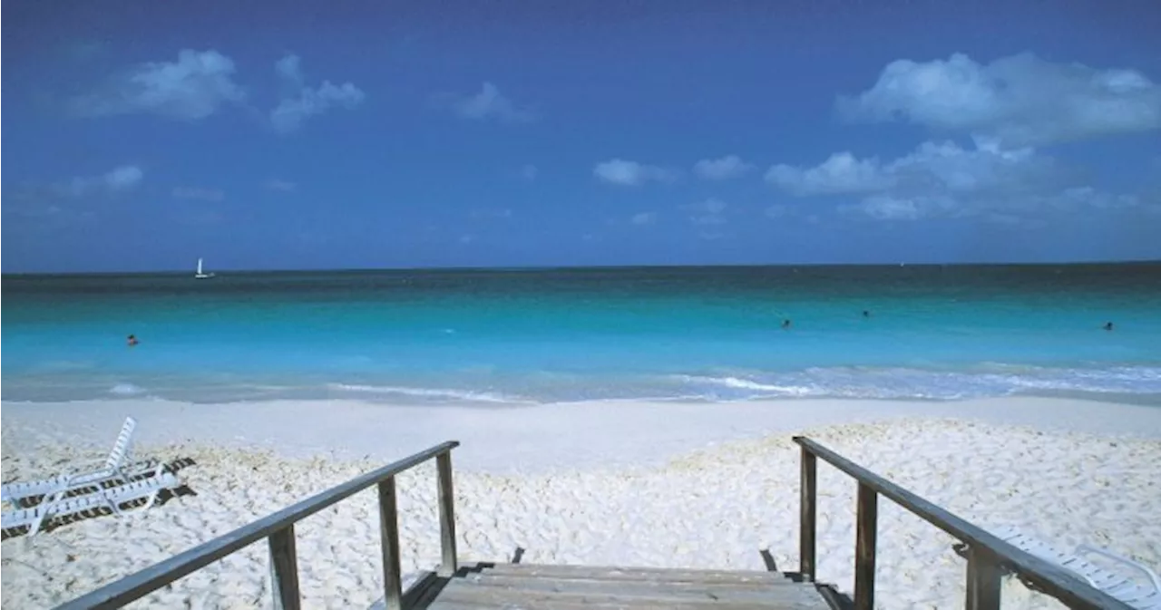 Canadian Tourist Loses Both Hands in Shark Attack While on Vacation