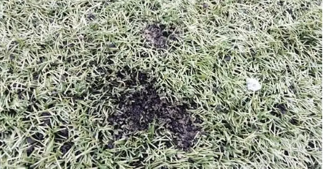 Vandalism at Ballyea GAA Club: Astro Turf Damaged by Matches