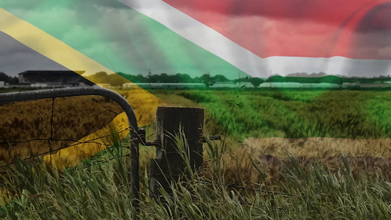 Misconceptions and Disinformation Surrounding South Africa's Land Expropriation Act