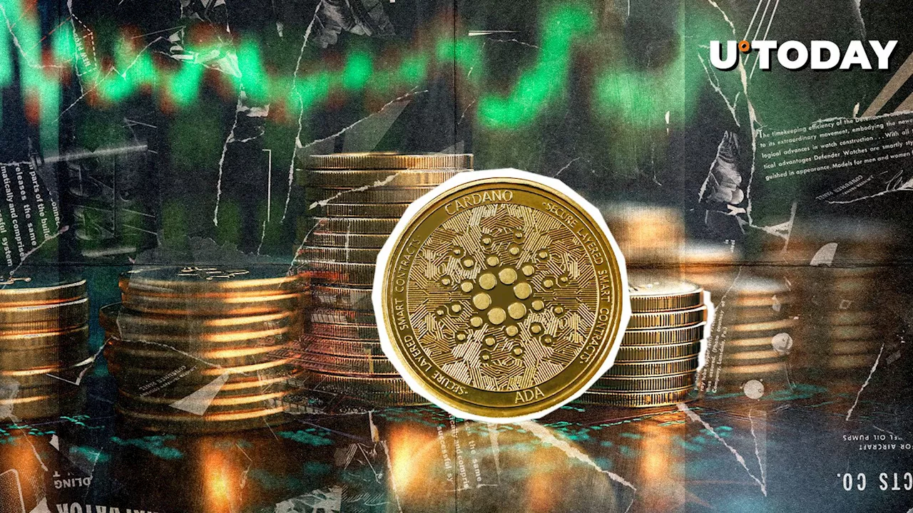 Cardano's Q4 2023 Performance: DeFi Growth, DEX Volume Surge, and ADA's Price Rally