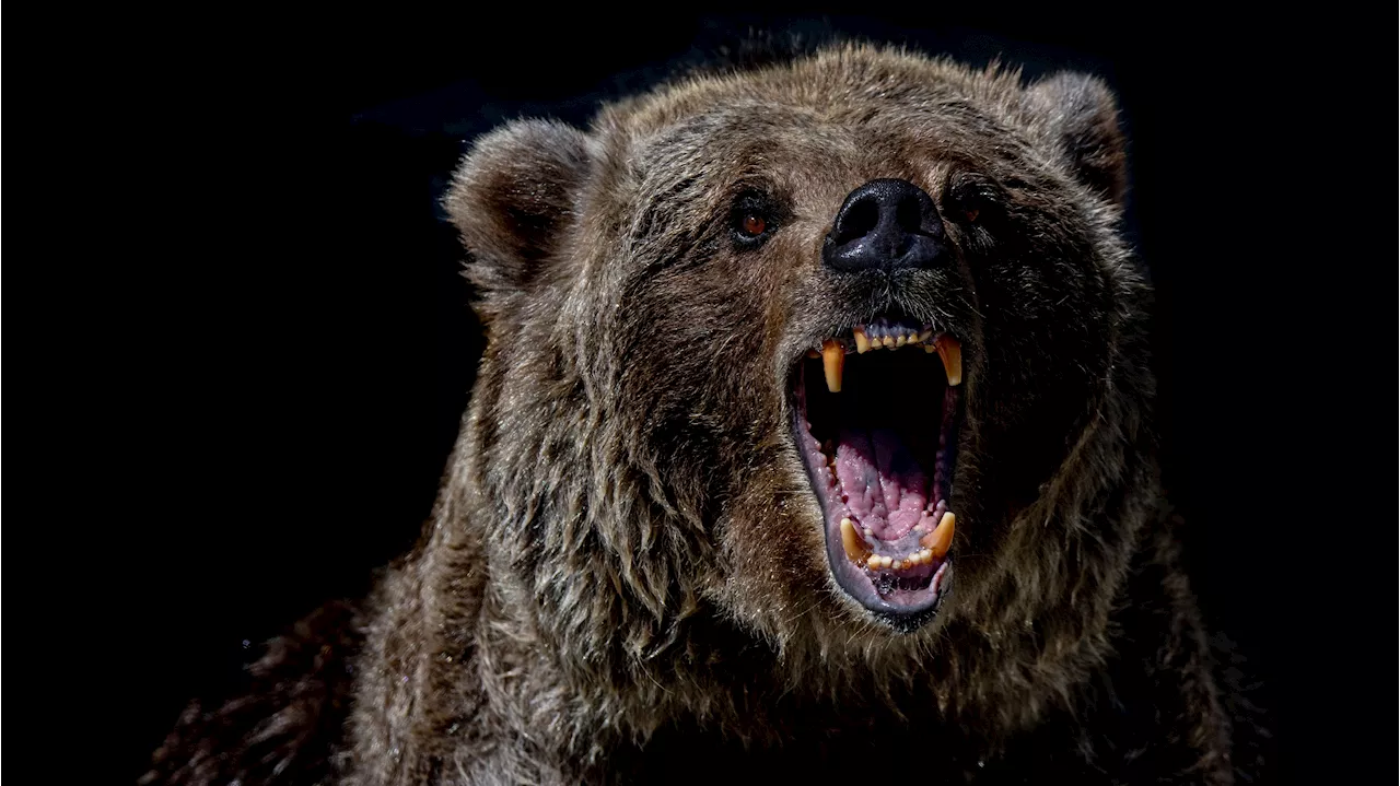 Bitcoin Risks Deeper Pullback as Key Metrics Signal Weakness