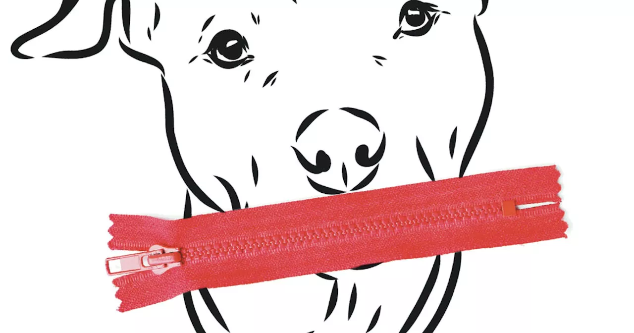 La colpa non è del cane, ma di chi lo abbandona e lo maltratta