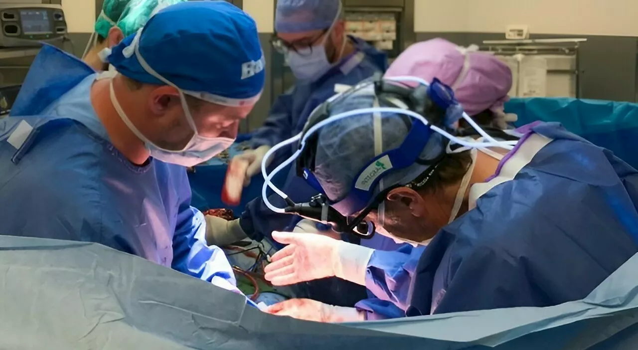 Un'impresa chirurgica straordinaria a Torino: il cuore sollevato per rimuovere un tumore di 20 centimetri
