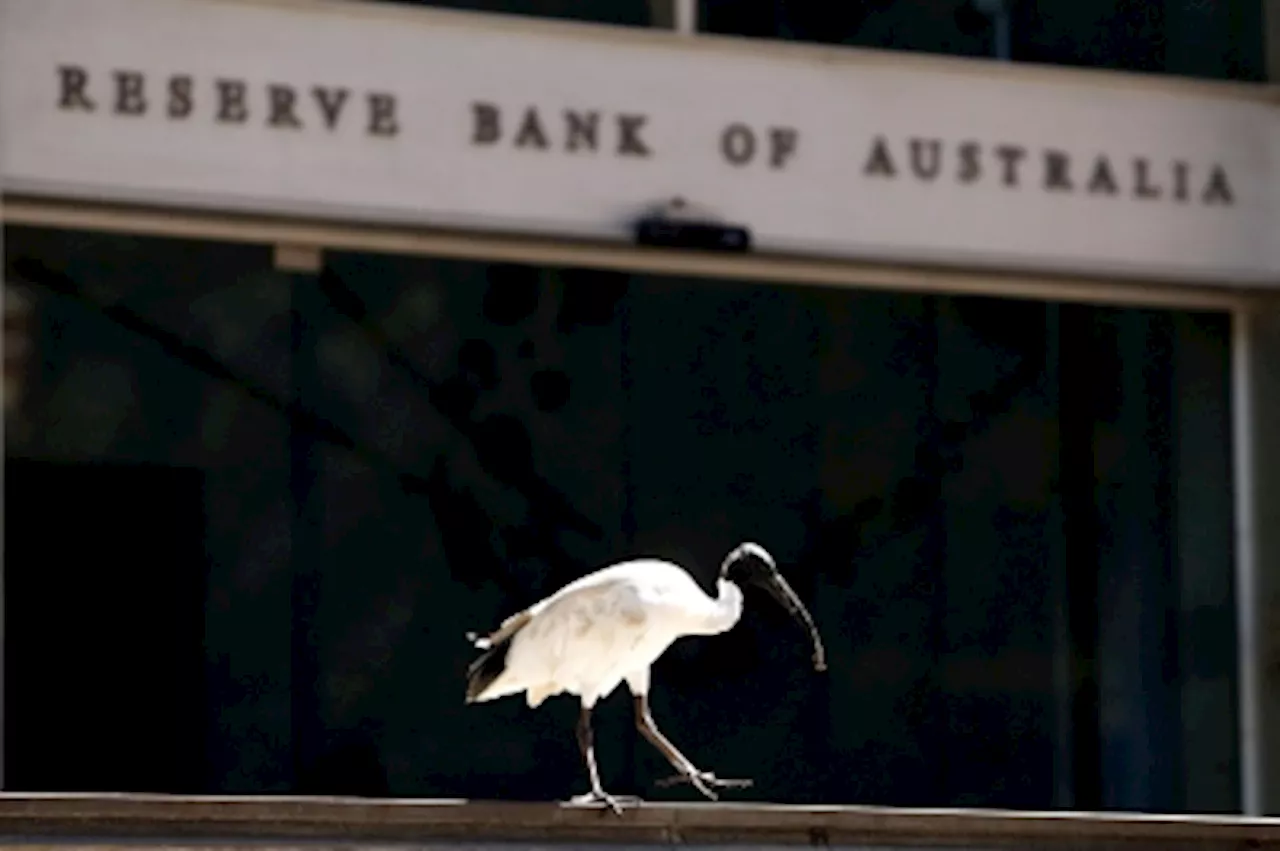 Australia Cuts Interest Rates for First Time in Four Years Amid Global Uncertainty