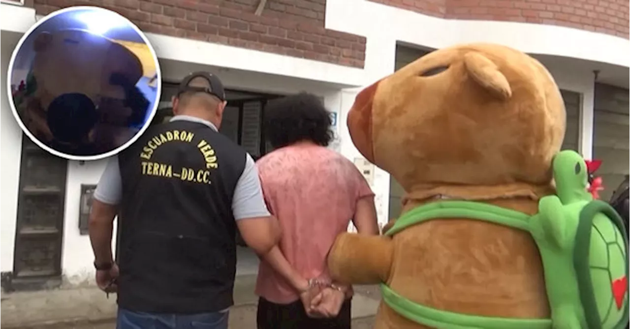 Police Officer Dresses Up As A Capybara For Drug Bust In Peru