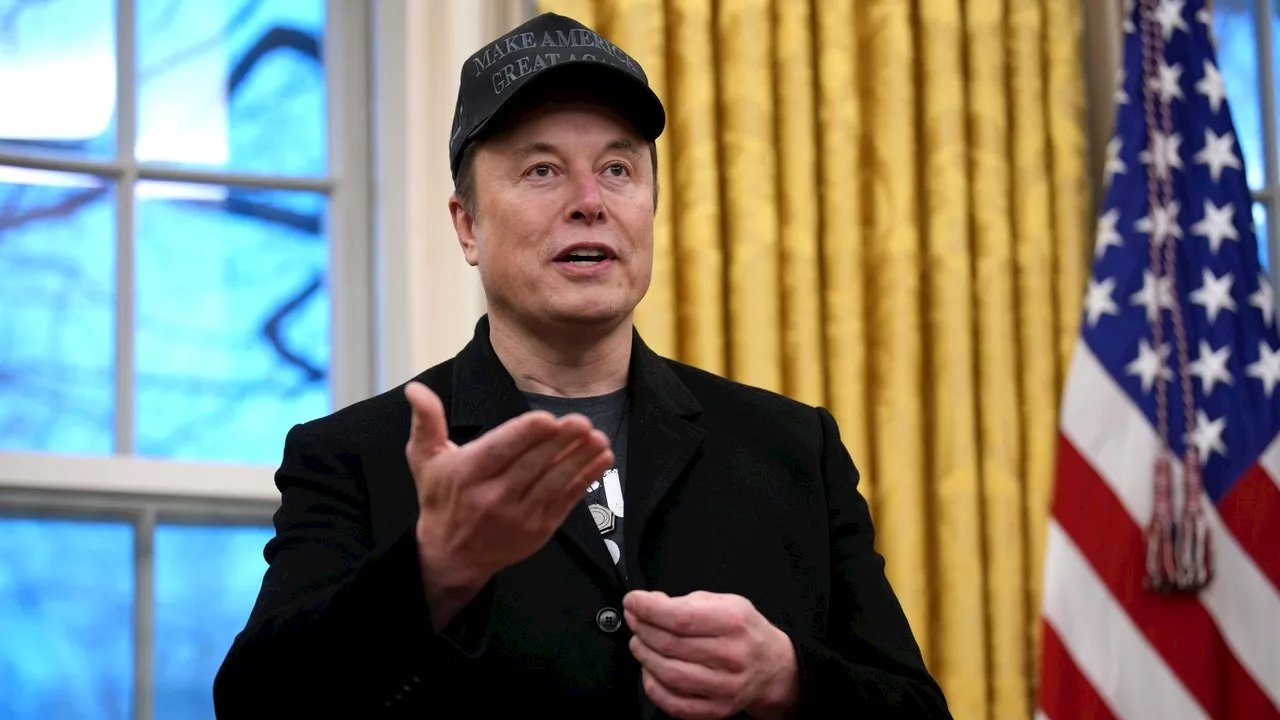 Elon Musk Allegedly Fathered Child With Ashley St. Clair, Who Claims He's Ghosting Her