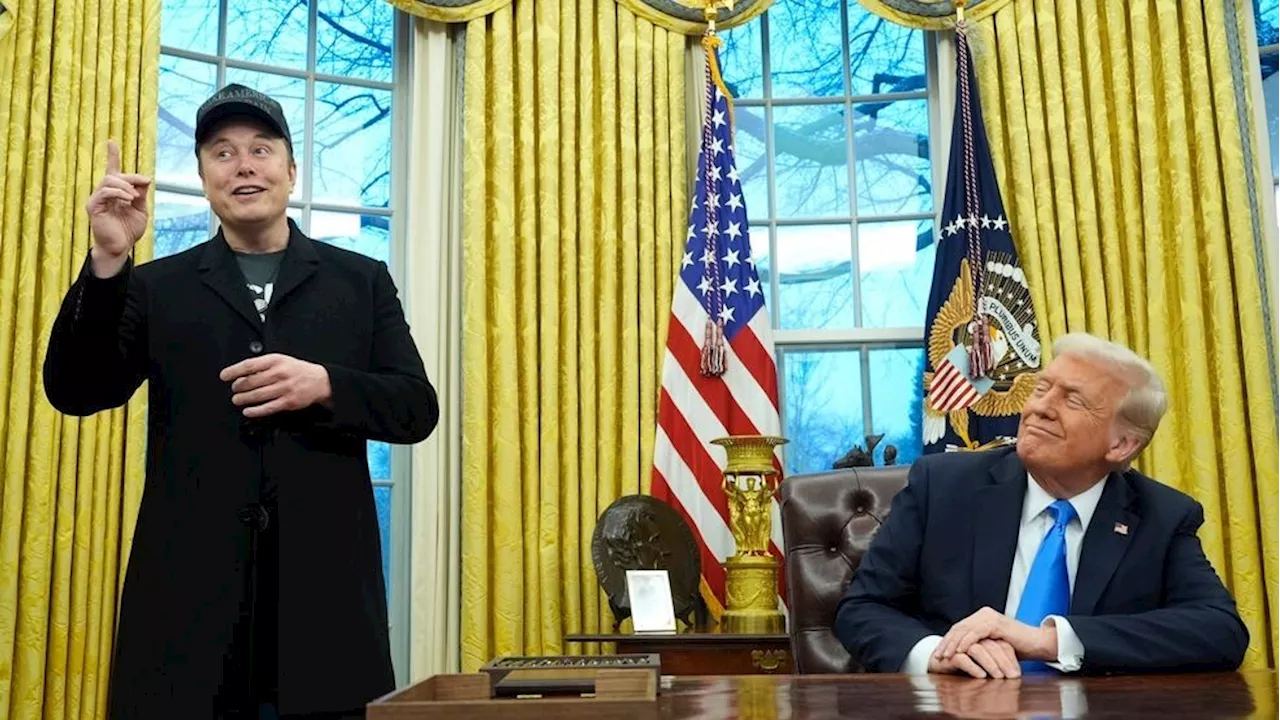 Trump and Musk to discuss first 100 days and DOGE in upcoming 'Hannity' interview