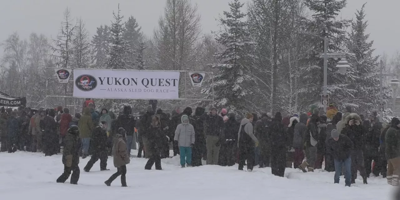 Fairbanks flocks to Yukon Quest Alaska for the start of inaugural 550 race