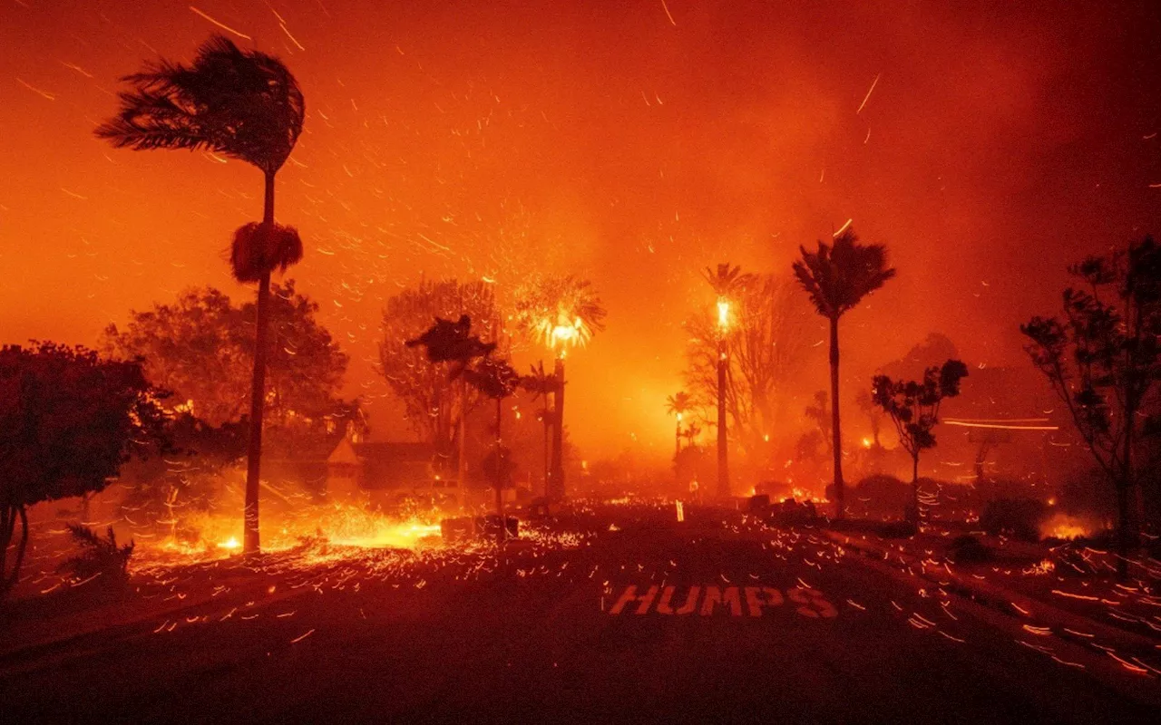 Incendios en California: Muerte, destrucción y una 'victoria' cuestionada