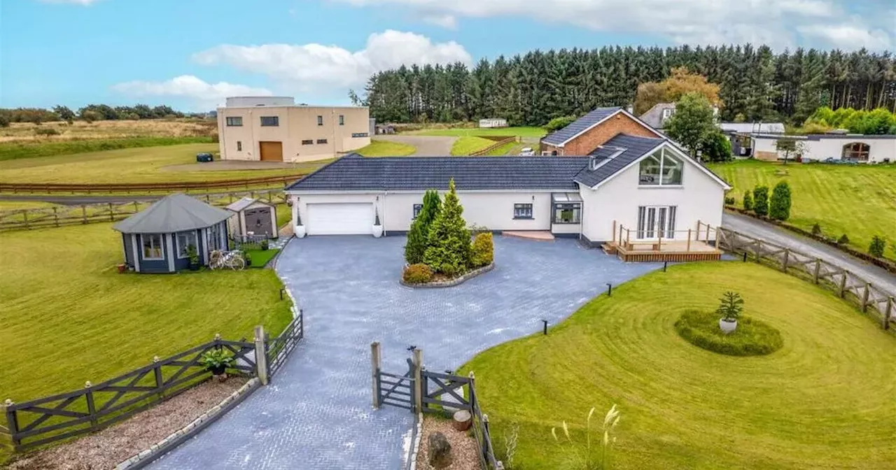 'Tranquil' Hamilton house on huge plot could be yours as it hits market for £495k