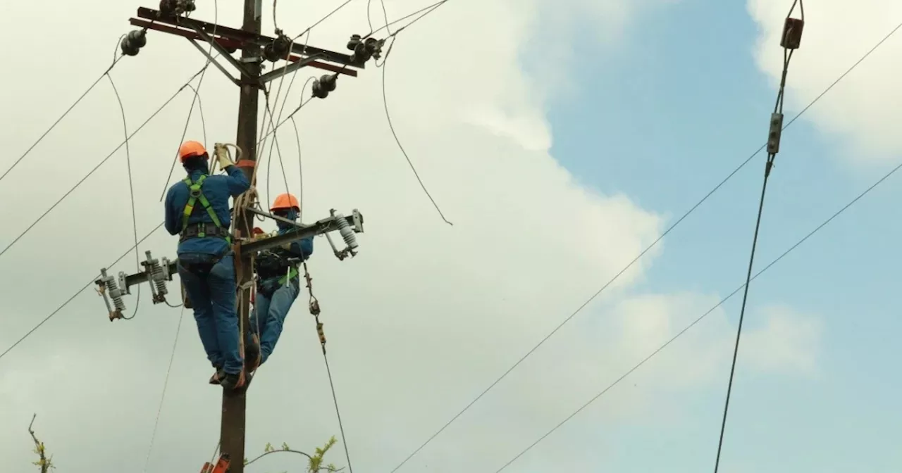 XM aplicará nueva fórmula tarifaria de energía desde marzo